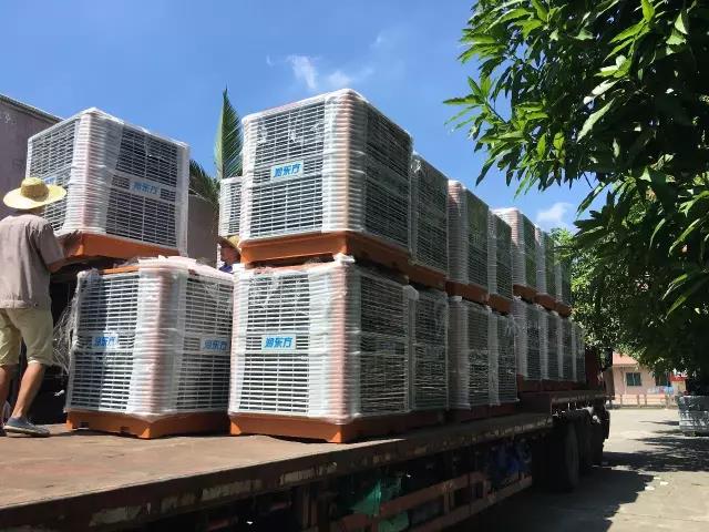 工廠車間快速降溫方法，你知道嗎？